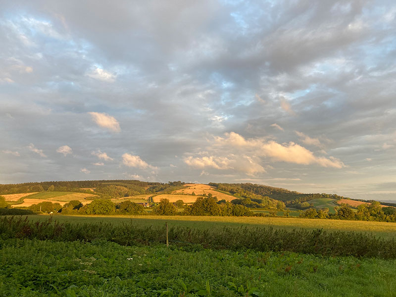 Early morning view Westwards from Manor Farm Campsite, Cocking